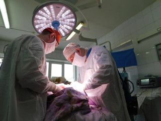 В Алтайском краевом онкологическом диспансере осваивают новые хирургические технологии