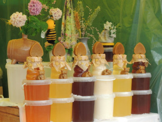 17 алтайских пчеловодов представят свою продукцию на ежегодной выставке-ярмарке меда и пчелопродукции «Здоровье горожанина»