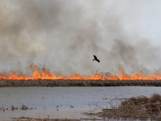 В Алтайском крае проводятся рейды в целях профилактики пожаров