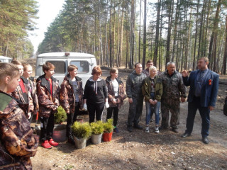 В Алтайском районе заложили ореховую аллею и высадили 600 елей и сосен в рамках международной акции «Сад памяти»