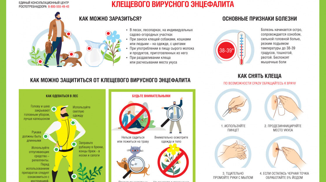 Барнаульцам напоминают о мерах профилактики клещевого вирусного энцефалита