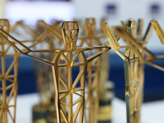 В Алтайском крае определили победителей и призеров премии потребителей электроэнергии «Золотая опора»