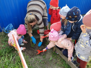 «Зеленую волну добра» в Алтайском крае поддержали воспитанники детских садов