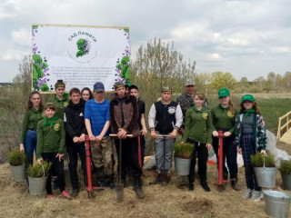 В рамках международной акции «Сад памяти» в Алтайском крае высадили 692 тысячи деревьев