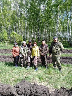 190 тысяч сосен и елей высадили в Залесовском лесничестве Алтайского края в рамках международной акции «Сад памяти»