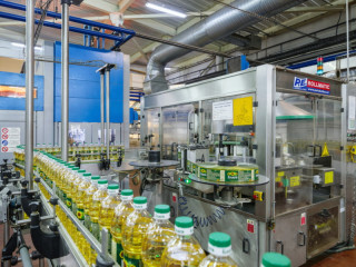 На 21% вырос экспорт масложировой продукции Алтайского края