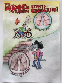 В Алтайском крае определили победителей конкурса рисунков «Здоровая страна – здоровая нация»