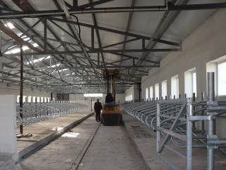 В Немецком национальном районе при помощи господдержки появится первая в Алтайском крае ферма роботизированного доения коров