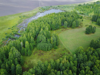 В Алтайском крае созданы четыре новых памятника природы