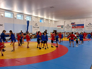 Около сотни ребят из 6 муниципальных образований Алтайского края приняли участие в фестивале школьных спортивных клубов по самбо