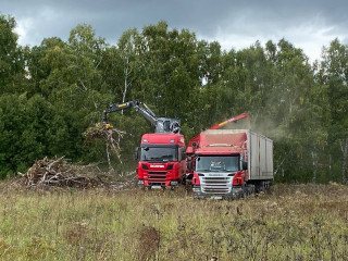 Алтайское предприятие продолжает развивать безотходное производство в сфере лесного хозяйства