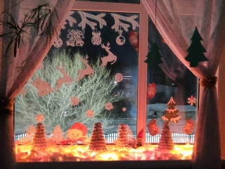 Учреждения образования в Алтайском крае присоединились к Всероссийской акции «Новогодние окна»