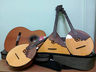 8 детских школ искусств Алтайского края получат комплекты народных инструментов