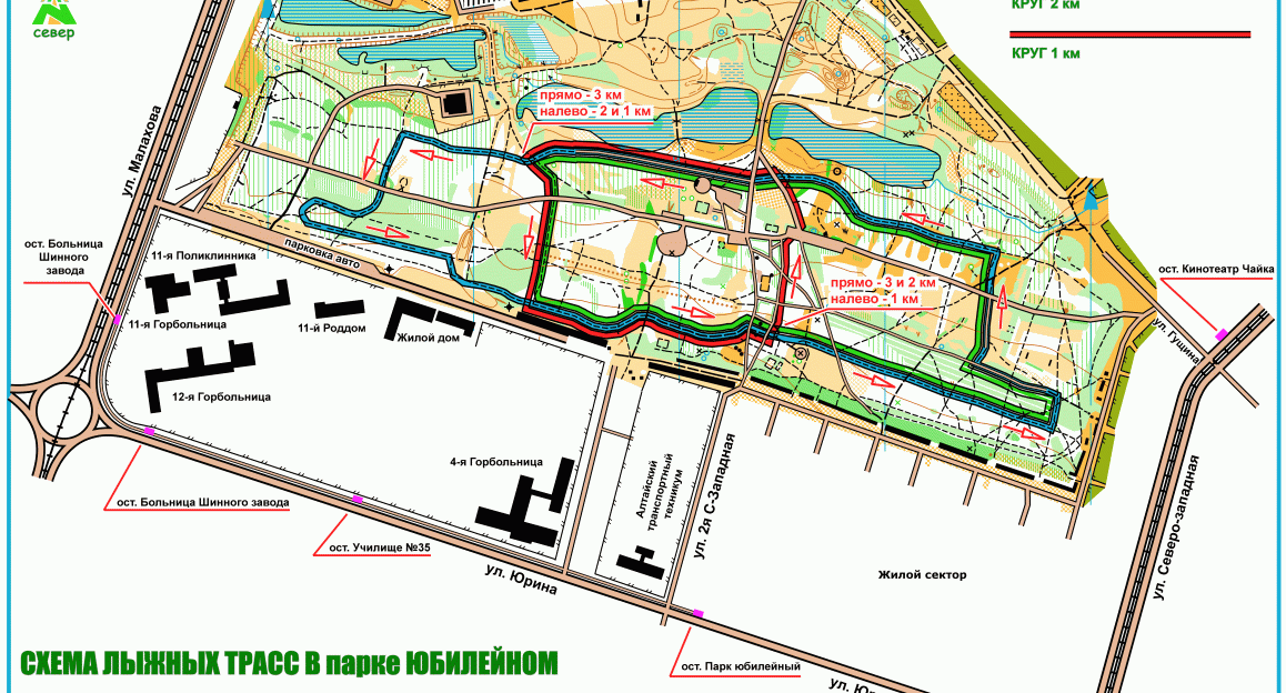В парках Барнаула вновь открылась «Народная лыжня»