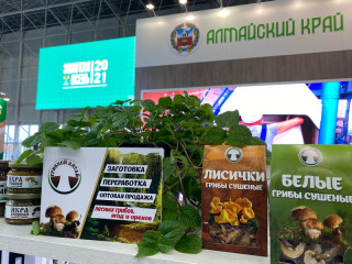 Министр сельского хозяйства России выразил благодарность Губернатору Алтайского края за вклад в организацию всероссийских мероприятий в АПК