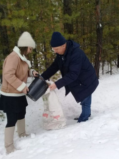 Более 200 тонн шишек собрали в Алтайском крае в рамках национального проекта «Экология»