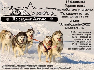 Гонки на собачьих упряжках пройдут в Алтайском районе Алтайского края