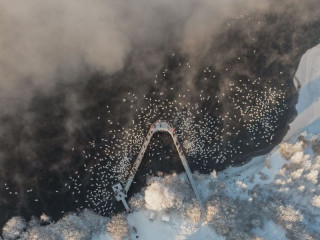 В Алтайском крае посчитали водоплавающих птиц в рамках Всероссийской акции «Серая шейка – 2022»