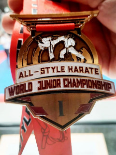 12 медалей завоевали алтайские спортсмены на чемпионате и первенстве мира по всестилевому карате