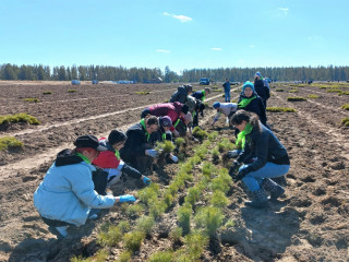 В лесничествах Алтайского края начался лесокультурный сезон