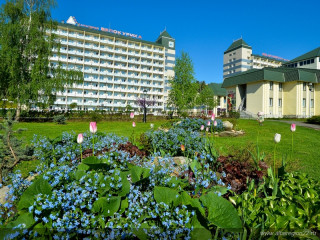 Эксперты в области туризма назвали перспективные направления отдыха в Алтайском крае