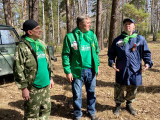 Около 800 саженцев сосны в рамках Всероссийской акции «Сад памяти» высадили волонтеры в Барнауле