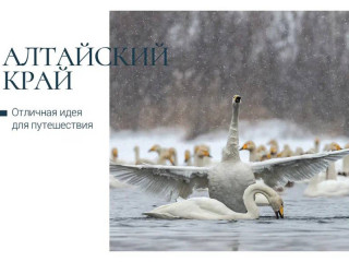 Открытки с достопримечательностями Алтайского края вошли в большую серию со знаковыми местами регионов России