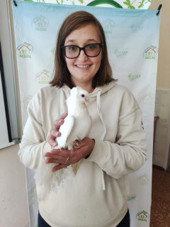 Мини-зоопарк и экологическая тропа – дети с ограниченными возможностями здоровья побывали на площадке Алтайского краевого детского экологического центра