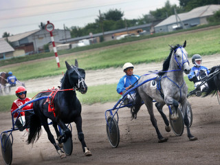 Главный приз в честь «Дня сибирского поля» вручил победителю конноспортивных соревнований Губернатор Алтайского края