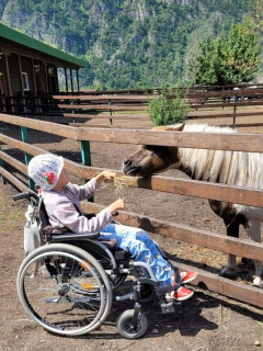 В краевом оздоровительном лагере организовали профильную смену для алтайских детей с ограниченными возможностями здоровья