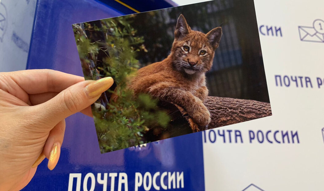 Почта России бесплатно доставит в любую точку России открытки с праздника «День рождения Барнаульского зоопарка»