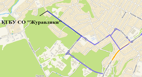 До реабилитационного центра «Журавлики» Барнаула будет ходить общественный транспорт