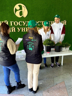 Более 4000 саженцев кедра высадили в 30 районах края в рамках проекта «Зеленый Алтай»