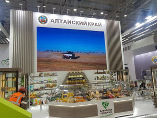Более 60 алтайских предприятий представили свою продукцию на всероссийской агропромышленной выставке