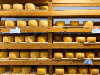 В 2022 году «Логовская сыроварня» в Алтайском крае увеличила объемы выпуска сыров