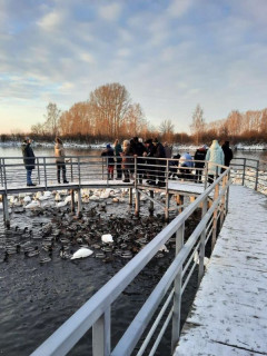 Более 200 школьников Алтайского края и Республики Алтай побывали в заказнике «Лебединый» с начала зимнего туристического сезона
