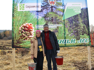 Рослесхоз подвел итоги лесовосстановительных кампаний в Алтайском крае за 2022 год