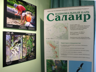 В Барнауле подвели итоги международного конкурса фотографий «Живая природа Алтая – 2022»