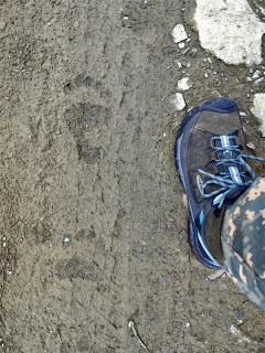 Жителям Алтайского края напоминают, как правильно вести себя при встрече с медведем