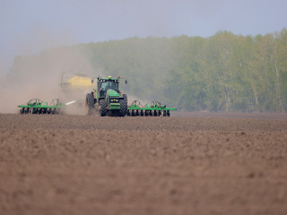 За пять лет Алтайский край вышел на первое место в России по производству льна масличного