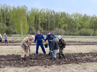 Свыше 550 тысяч сеянцев высадили в Алтайском крае в ходе Международной акции «Сад памяти»