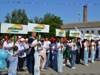 Малые Дельфийские игры «Вместе лучше!» стали одними из самых массовых в Алтайском крае
