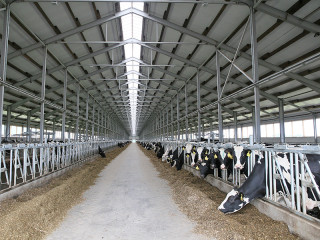 Компания-инвестор выполняет свои обязательства по запуску крупного животноводческого комплекса в Тальменском районе Алтайского края