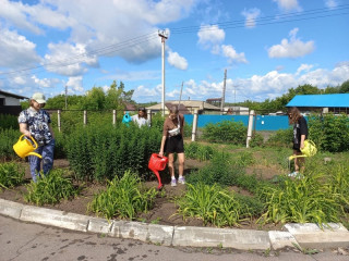 Более полутора тысяч учеников работают на пришкольных участках в Топчихинском районе Алтайского края