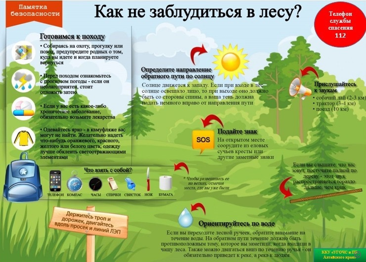 В сезон ягод и грибов барнаульцев проинформировали как не заблудиться в лесу