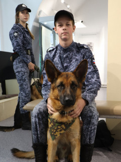 Всероссийская акция «День фронтовой собаки» пройдет в Алтайском крае на двух площадках