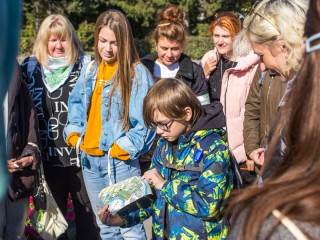 Пять маршрутов предложат участникам «Квест-феста – 2023» в городах Алтайского края