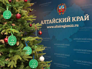 Представители сфер образования и здравоохранения Алтайского края поддержали акцию «Елка желаний»