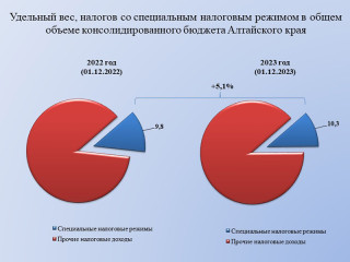В Алтайском крае растет число налоговых поступлений от субъектов малого и среднего предпринимательства