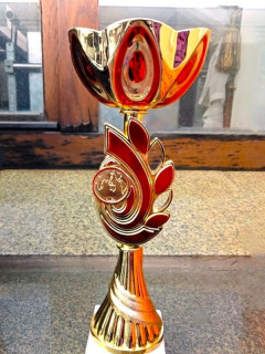 Алтайская команда по следж-хоккею стала серебряным призером Кубка Сибири